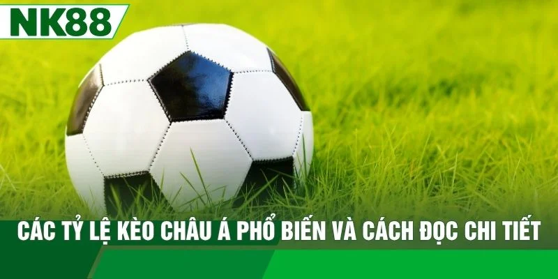 Các tỷ lệ kèo Châu Á phổ biến và cách đọc chi tiết