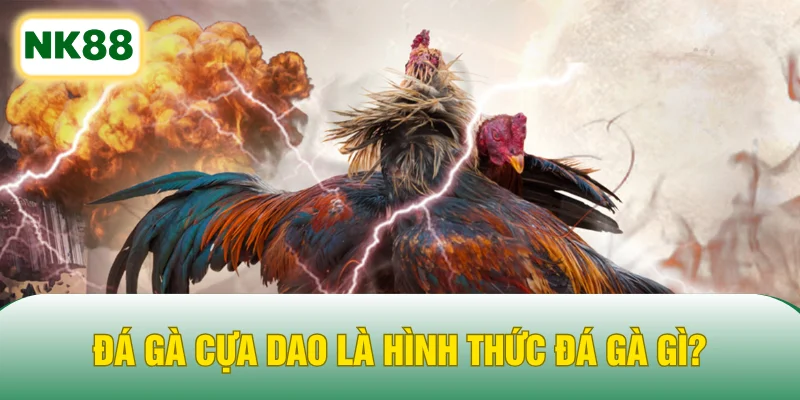 Đá gà cựa dao là hình thức đá gà gì?