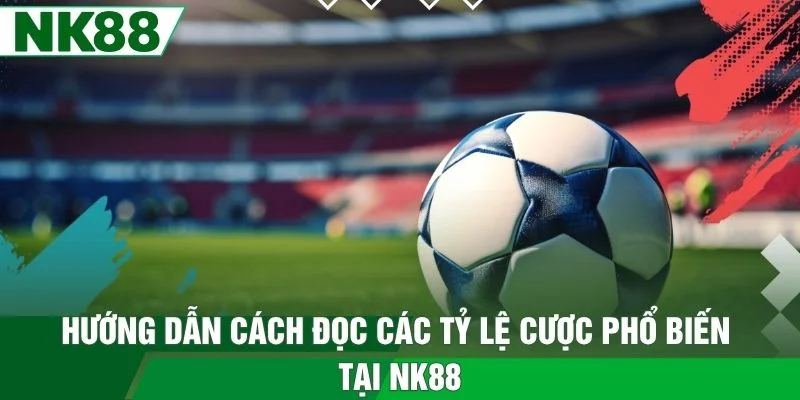 Hướng dẫn cách đọc các tỷ lệ cược phổ biến tại NK88