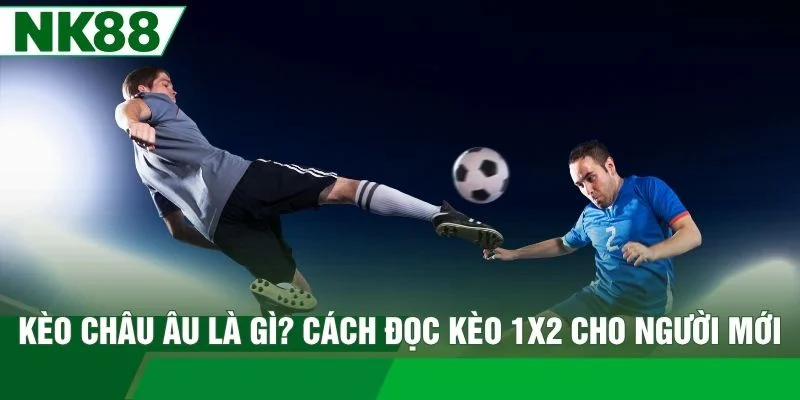 Kèo Châu Âu Là Gì? Cách Đọc Kèo 1X2 Cho Người Mới