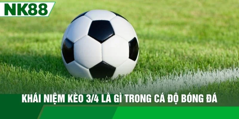 Khái niệm kèo 3/4 là gì trong cá độ bóng đá