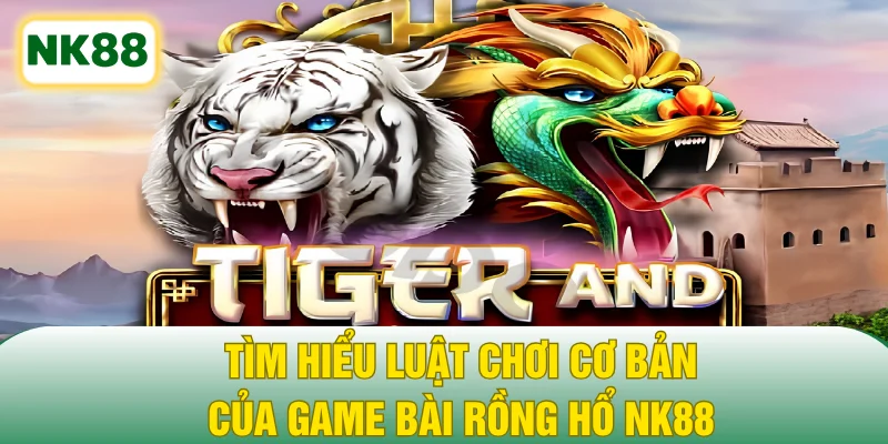 Tìm hiểu luật chơi cơ bản của game bài Rồng Hổ NK88