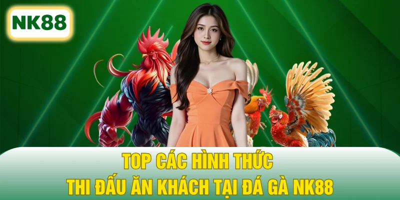 Top các hình thức thi đấu ăn khách tại đá gà NK88