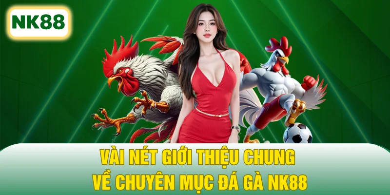 Vài nét giới thiệu chung về chuyên mục đá gà NK88